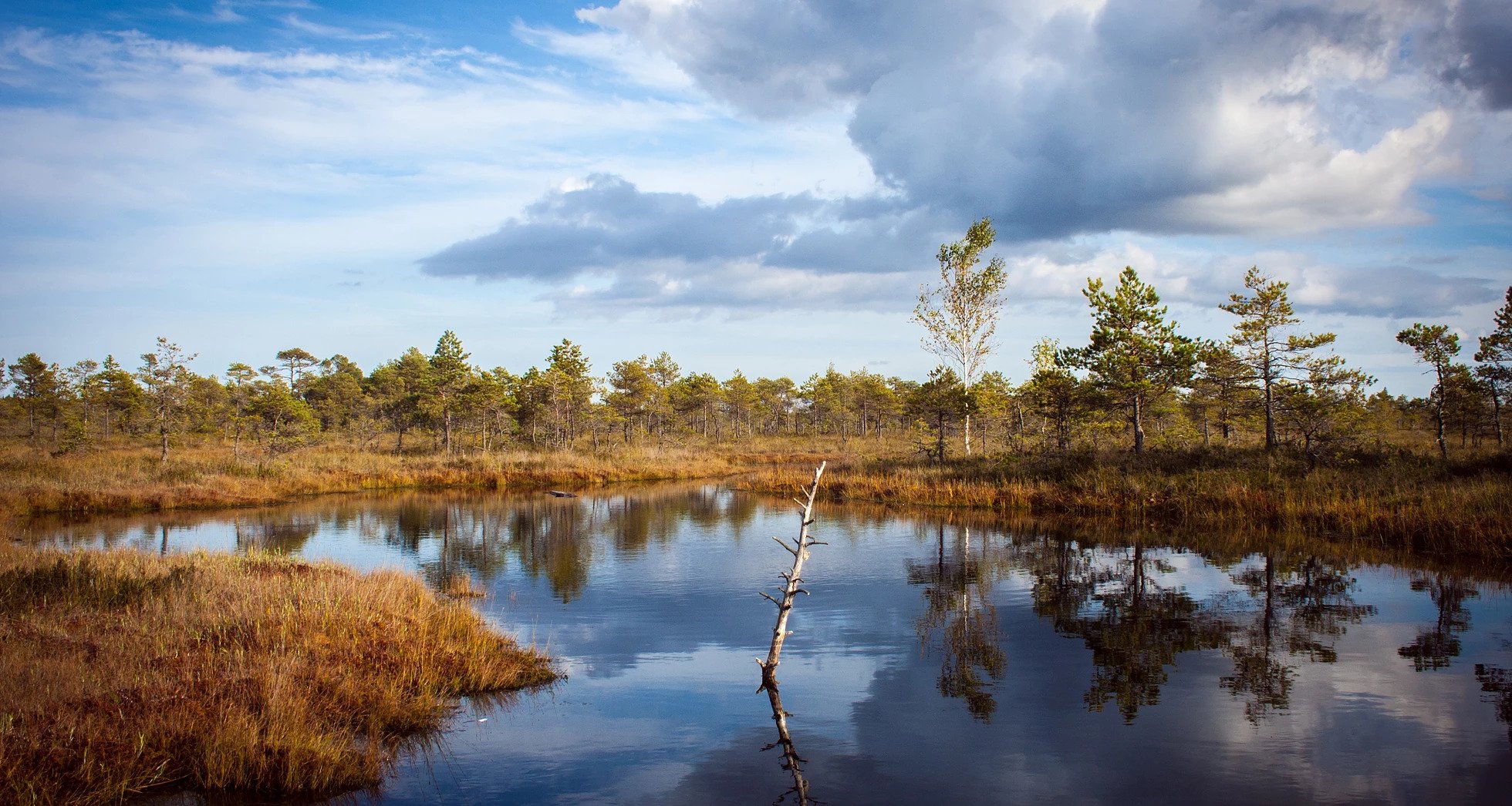 ezgif.com-webp-to-jpg (2)